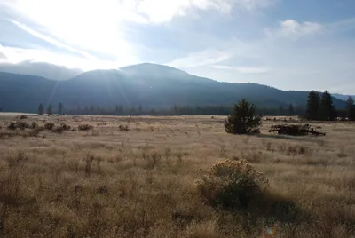 DSC_0043 (Large).JPG